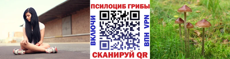 Псилоцибиновые грибы GOLDEN TEACHER  Купить где  Фёдоровский 